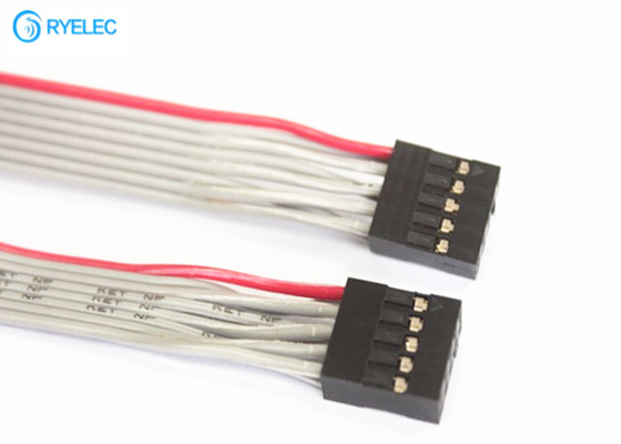 2*5 Pin Dupont 2.54 Female To Female Connector , Double Row Ribbon Cable Connectors supplier