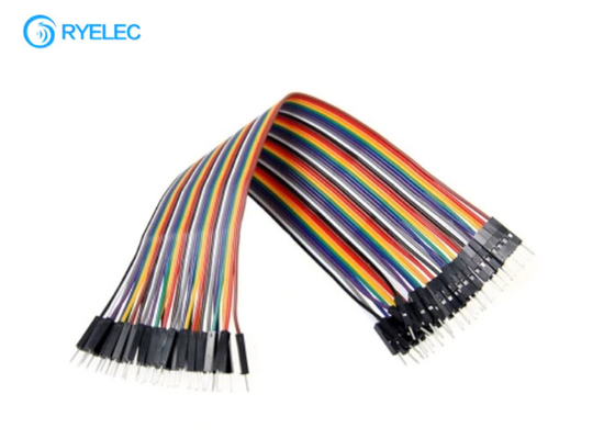 20cm Male To Male Flat Ribbon Cable Assembly For Advertising Machine 2.54mm Pitch supplier