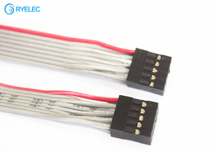 2*5 Pin Dupont 2.54 Female To Female Connector , Double Row Ribbon Cable Connectors