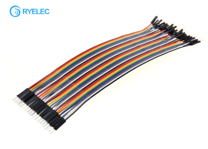 20cm Male To Male Flat Ribbon Cable Assembly For Advertising Machine 2.54mm Pitch